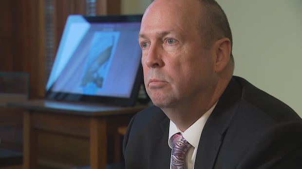 auditor-general-claims-poor-results-at-nb-power-'masked'-by-accounting-scheme-|-cbc-news