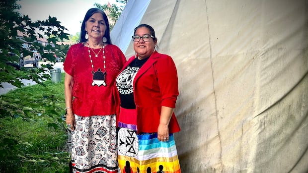 'we-need-to-normalize-it-again':-elsipogtog-educators-work-to-revitalize-mi'kmaw-language-|-cbc-news