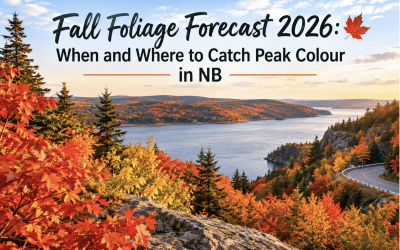 Fall Foliage Forecast 2026: When and Where to Catch Peak Colour in NB
