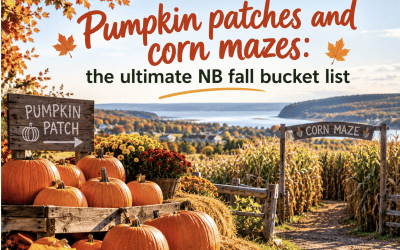 Pumpkin patches and corn mazes: the ultimate NB fall bucket list