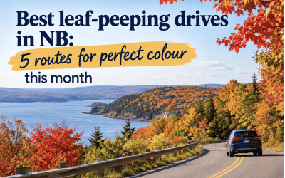 Best leaf-peeping drives in NB: 5 routes for perfect colour this month