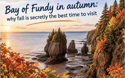 Bay of Fundy in autumn: why fall is secretly the best time to visit
