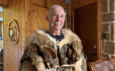 Bathurst-area man escapes bear attack while picking blueberries | CBC News