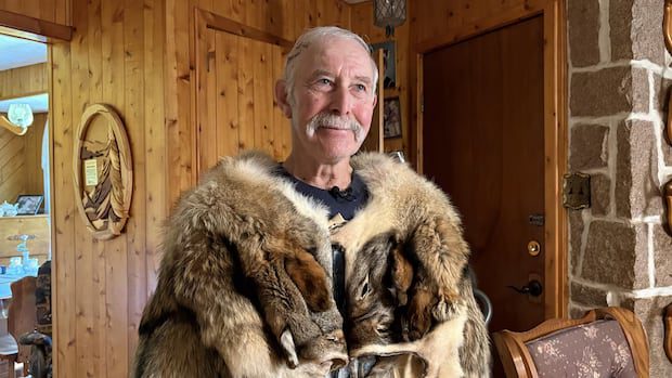 bathurst-area-man-escapes-bear-attack-while-picking-blueberries-|-cbc-news