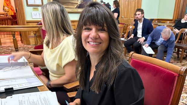 liberals,-pcs-revive-each-other’s-tourism-controversies-|-cbc-news