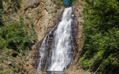 Capturing the cascade: Exploring one final New Brunswick waterfall. For now. | CBC News
