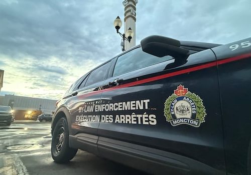 moncton-plans-for-increased-powers-for-community-safety-officers,-ok's-more-training-|-cbc-news