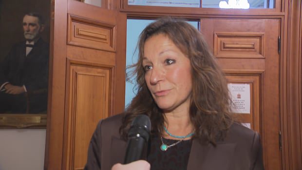 more-paramedic-student-enrollments-will-hopefully-address-vacancies,-ambulance-nb.-ceo-says-|-cbc-news