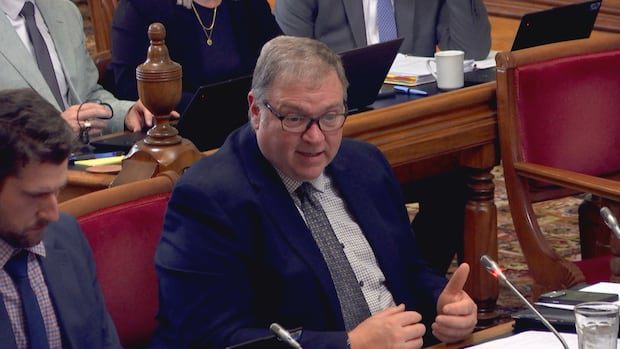 health-official-defends-rushing-health-clinics-without-a-full-plan-|-cbc-news