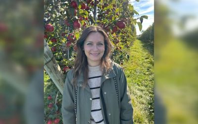 ‘Couldn’t ask for better’: Memramcook orchard says good weather helped apple crop this year | CBC News