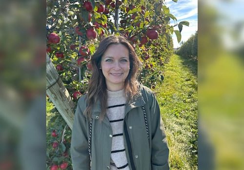 'couldn't-ask-for-better':-memramcook-orchard-says-good-weather-helped-apple-crop-this-year-|-cbc-news
