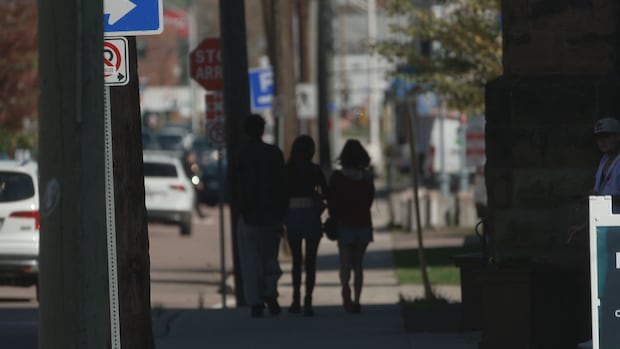 human-traffickers-targeting-group-homes,-nb.-police-and-support-groups-say-|-cbc-news