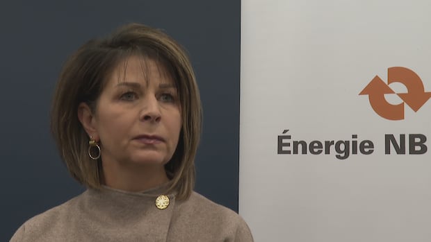 nb.-power-says-10-data-centre-projects-have-applications-to-connect-to-electrical-system-|-cbc-news
