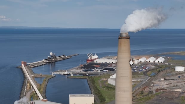 belledune-port-sued-for-allegedly-pulling-out-of-explosives-factory-deal-at-last-minute-|-cbc-news