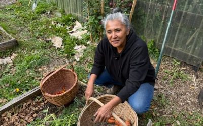Wolastoqey elder fears proposed Sisson Mine could threaten land she’s worked to reconnect with | CBC News