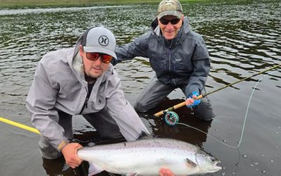 ‘Our river is almost dead’: What’s killing an iconic Miramichi fishery? | CBC News