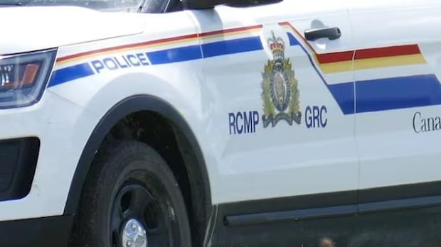 second-person-charged-in-elsipogtog-homicide-case-|-cbc-news