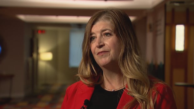 local-government-groups-renew-calls-for-mandatory-training,-expert-support-to-municipalities-|-cbc-news