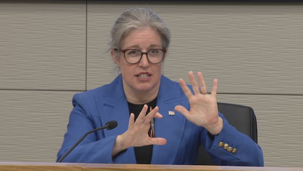 progress-stalls-at-some-clinics-in-premier’s-primary-care-update-|-cbc-news