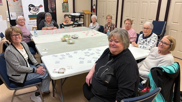 northern-nb.-libraries-are-a-glue-keeping-communities-together-|-cbc-news