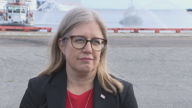 port-saint-john-trade-corridors-to-see-$463m-in-upgrades-|-cbc-news