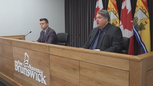 bill-would-add-mental-health-to-job-of-nb.'s-child,-youth-and-seniors-advocate-|-cbc-news