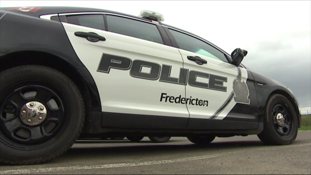 fredericton-police-investigating-death-at-homeless-encampment-|-cbc-news