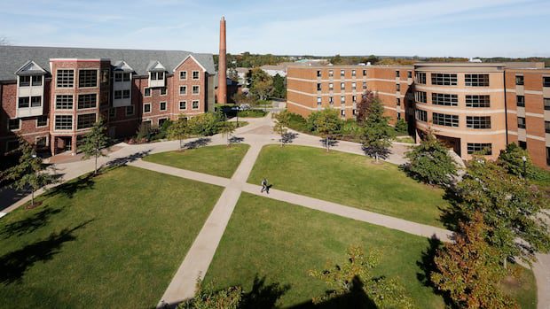 mount-allison-brings-back-teaching-degree-program-nearly-30-years-after-nixing-it-|-cbc-news
