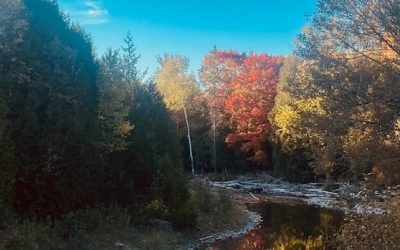 Reflections on the water: Enjoy these photos from around New Brunswick | CBC News