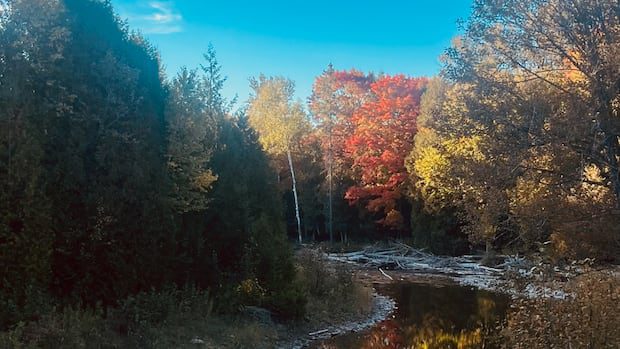 reflections-on-the-water:-enjoy-these-photos-from-around-new-brunswick-|-cbc-news