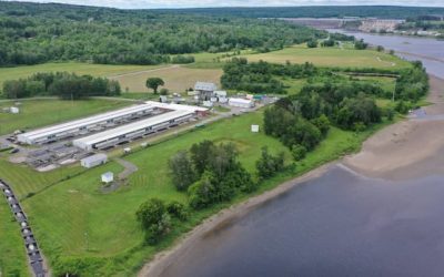 Scarce St. John River salmon population will continue getting support from DFO facility | CBC News