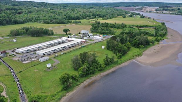 scarce-st.-john-river-salmon-population-will-continue-getting-support-from-dfo-facility-|-cbc-news
