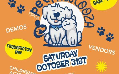 Pet Pawlooza!