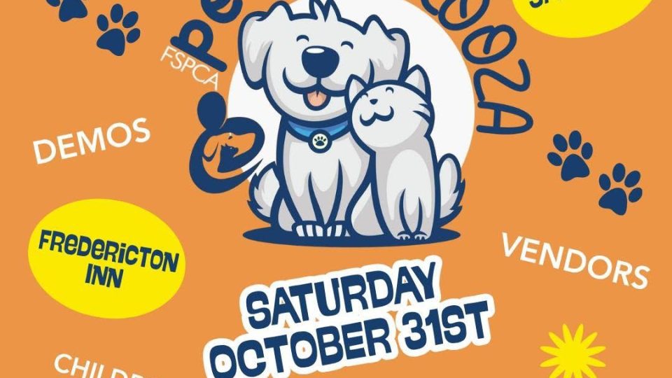 pet-pawlooza!