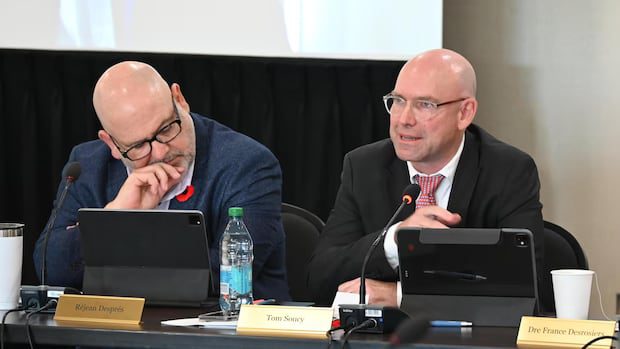 health-minister-disputes-that-vitalite-board-chair-is-leaving-over-disagreement-|-cbc-news
