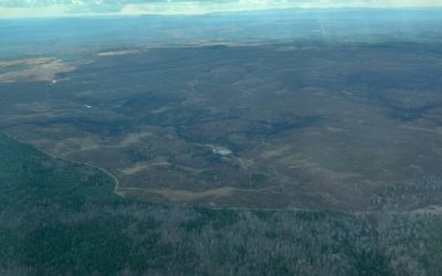 Some training still suspended at Base Gagetown after crews contain wildfire | CBC News
