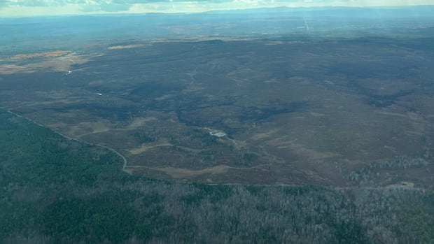some-training-still-suspended-at-base-gagetown-after-crews-contain-wildfire-|-cbc-news