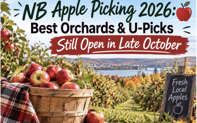 NB Apple Picking 2026: Best Orchards & U-Picks Still Open in Late October